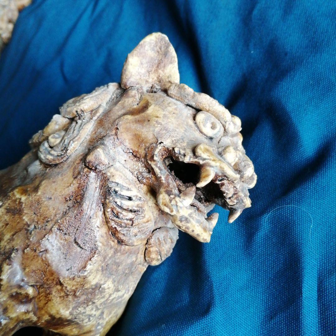 瀬戸焼　黄瀬戸狛犬　25cm　江戸初期～後期