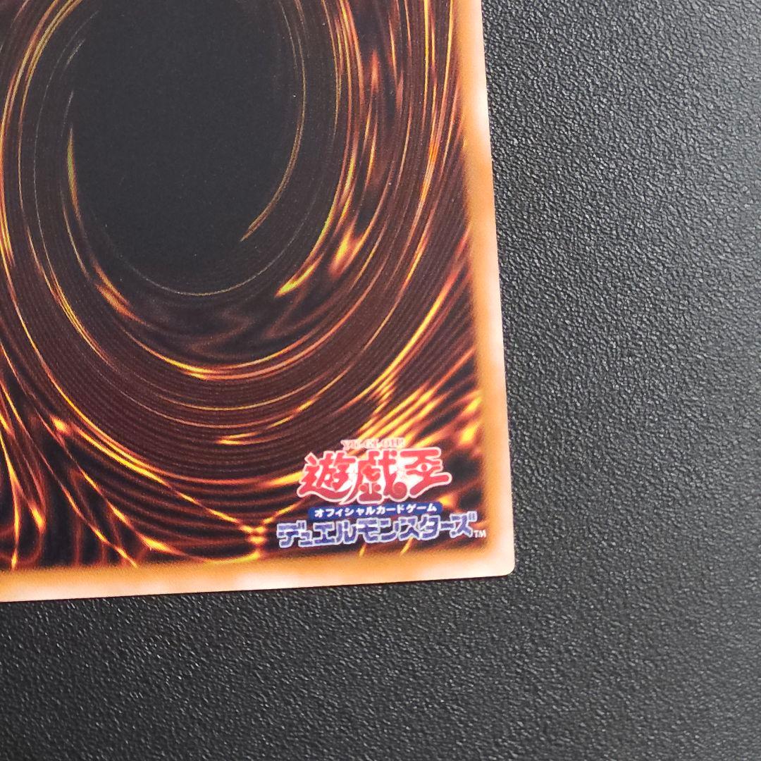 s*a様 美品　レリーフ　遊戯王　ブラックデーモンズドラゴン