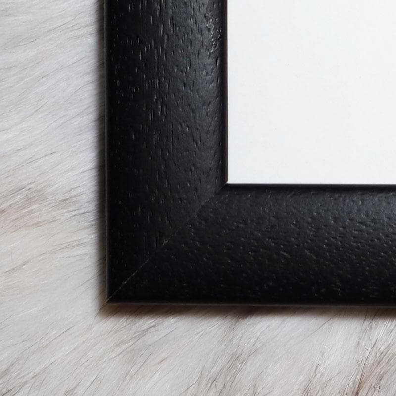 額装品/Como No/ジャスティン ブア/ポスター/アート/インテリア