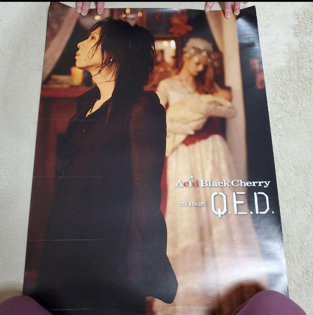 Acid Black Cherry Q.E.D. ポスター　その①