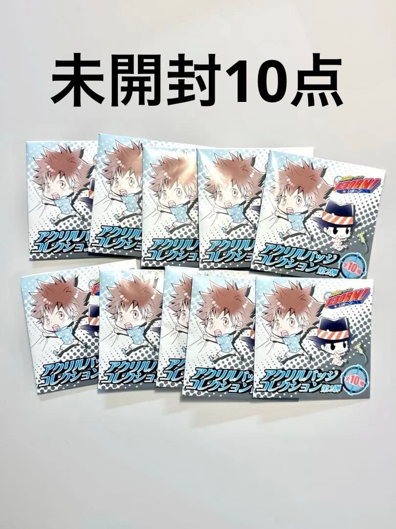 家庭教師ヒットマンREBORN アクリルバッジコレクション 2弾 10点　未開封