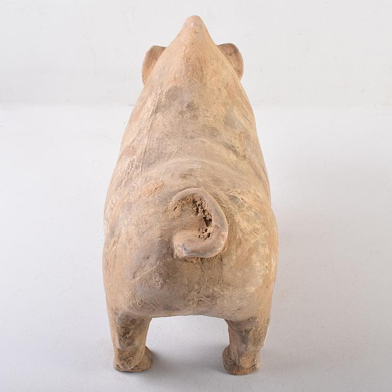 cafe-abakan　中国　加彩　豚俑　陶俑　置物　N　8950AE