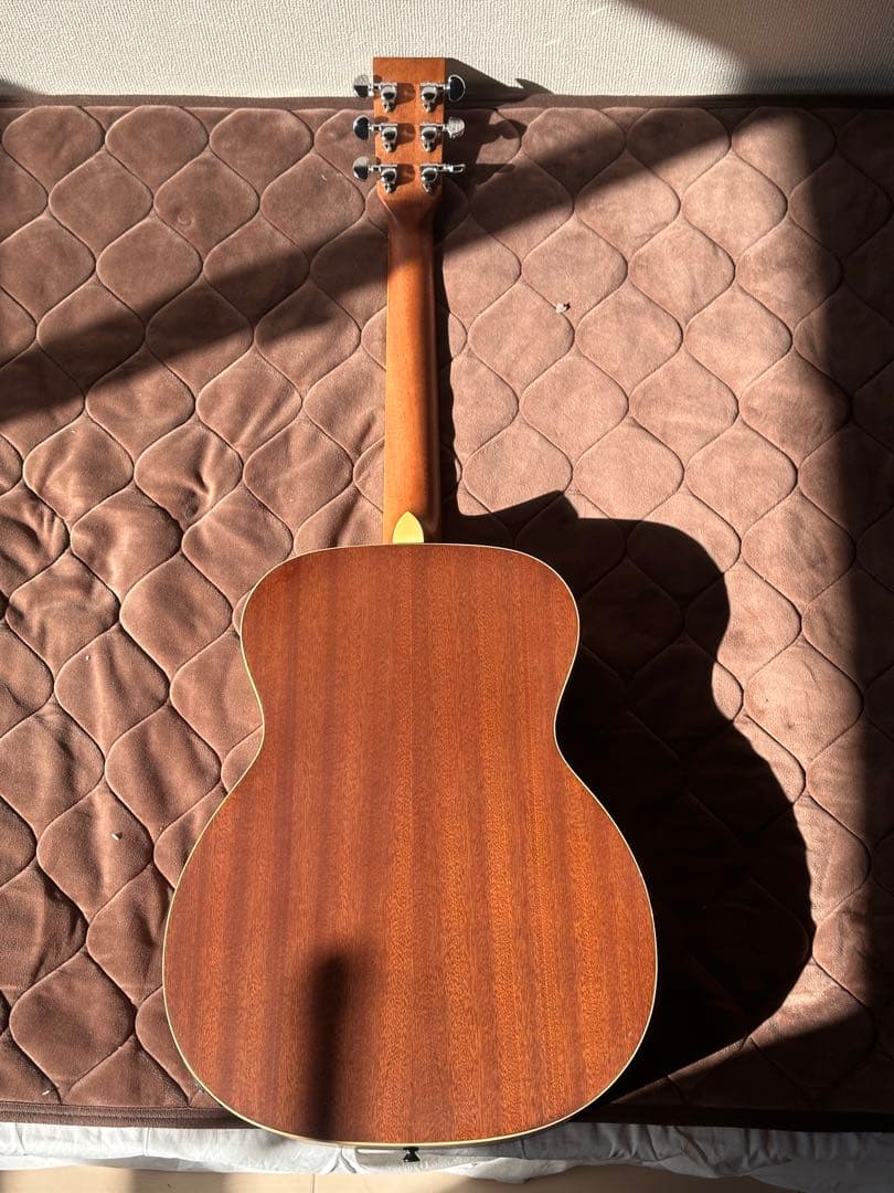 スタッフォードSF-300F-NFishman搭載｜ショートスケール｜専用ケース