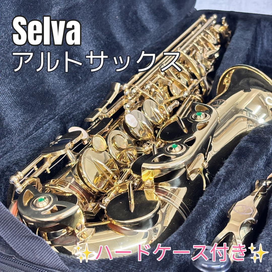 ✨美品✨Selva アルトサックス ハードケース付き 初心者〜練習用に◎