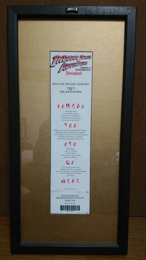 アメリカ　ディズニーランド　インディジョーンズアドベンチャーオープン記念チケット