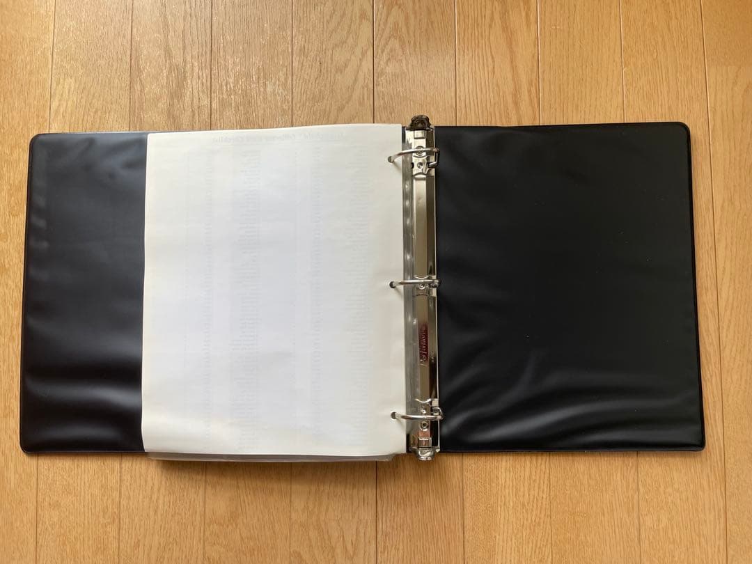 【美品！！】MTG 公式カードファイルバインダー ストロングホールド