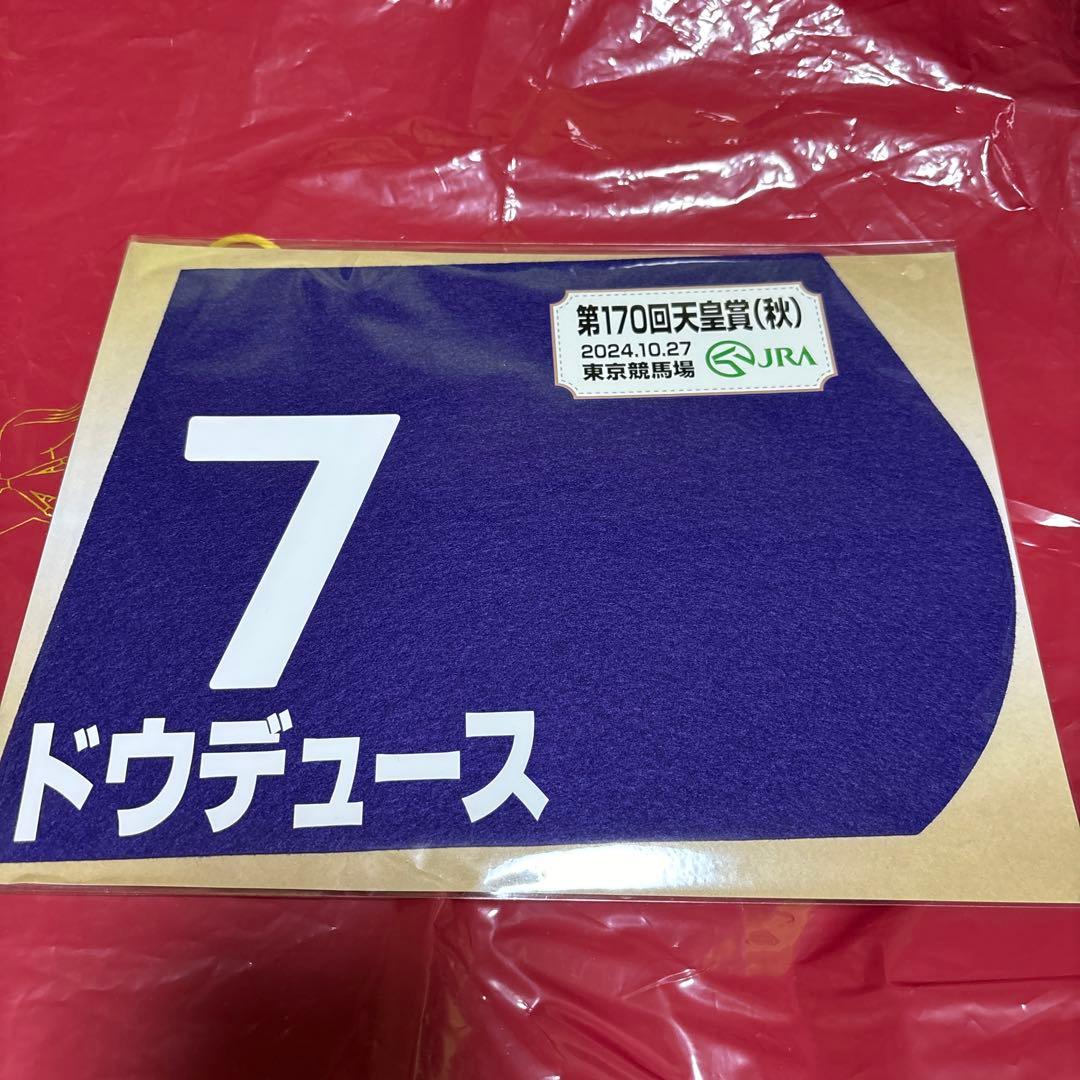 ドウデュース　2024 天皇賞秋　出走馬ミニゼッケン