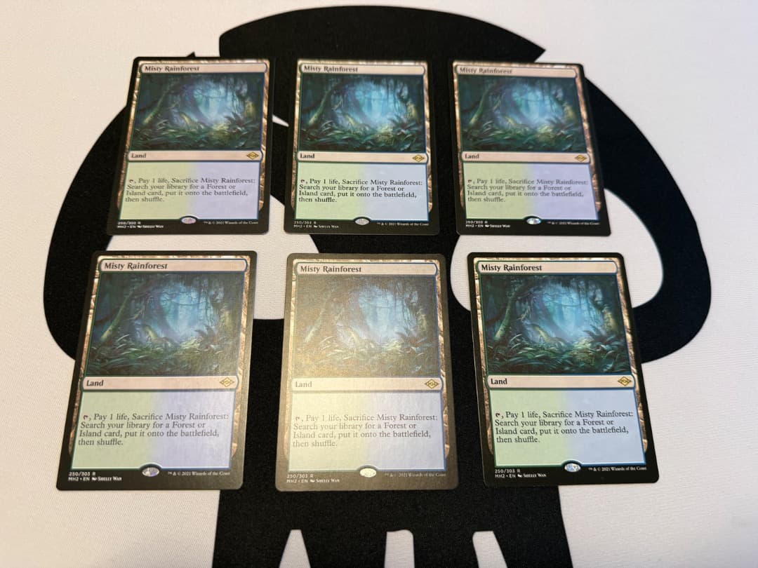 霧深い雨林　６枚　英語　MTG