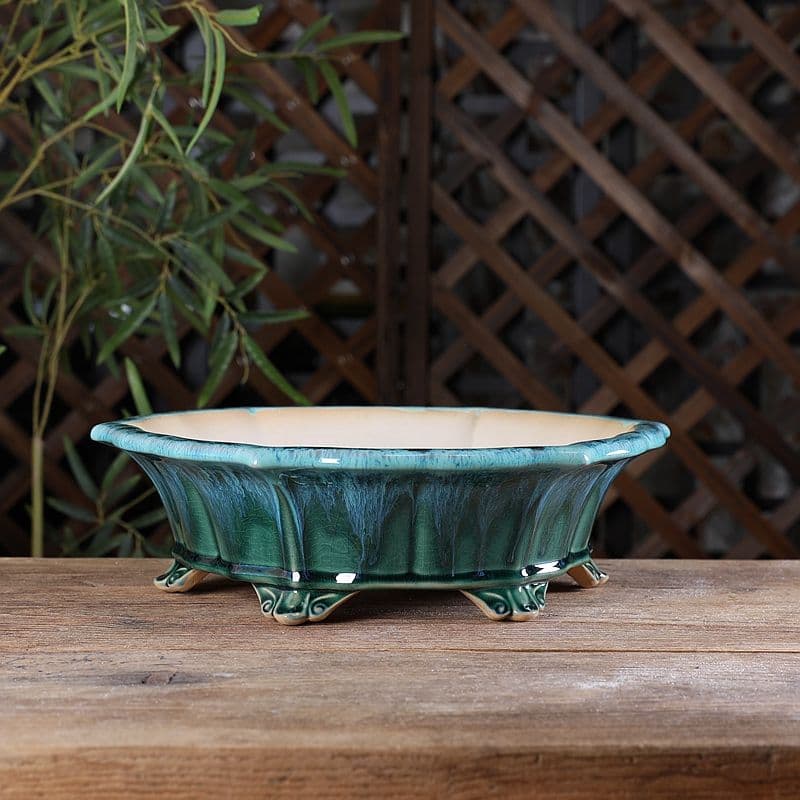 六方菱の鉢 多肉菖蒲盆栽 植木鉢 小品盆栽鉢 大品盆栽鉢