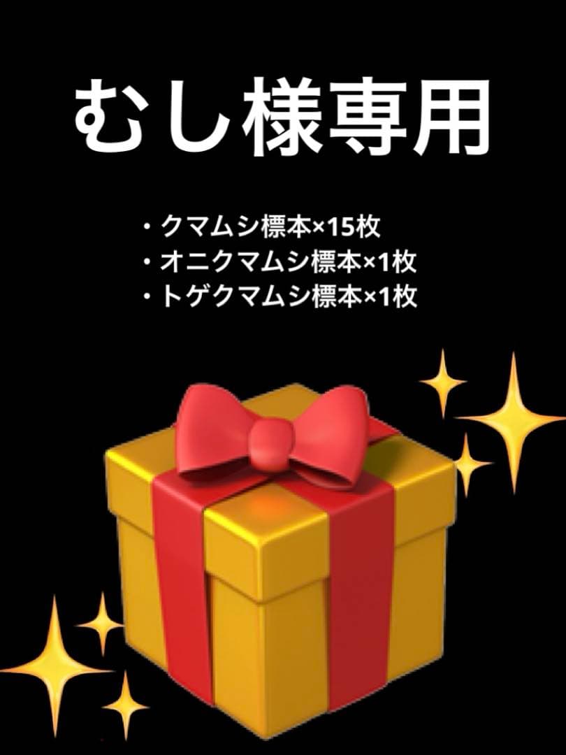 クマムシ標本セット