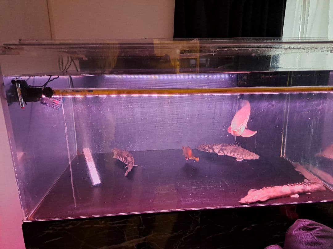 1200水槽　ライト