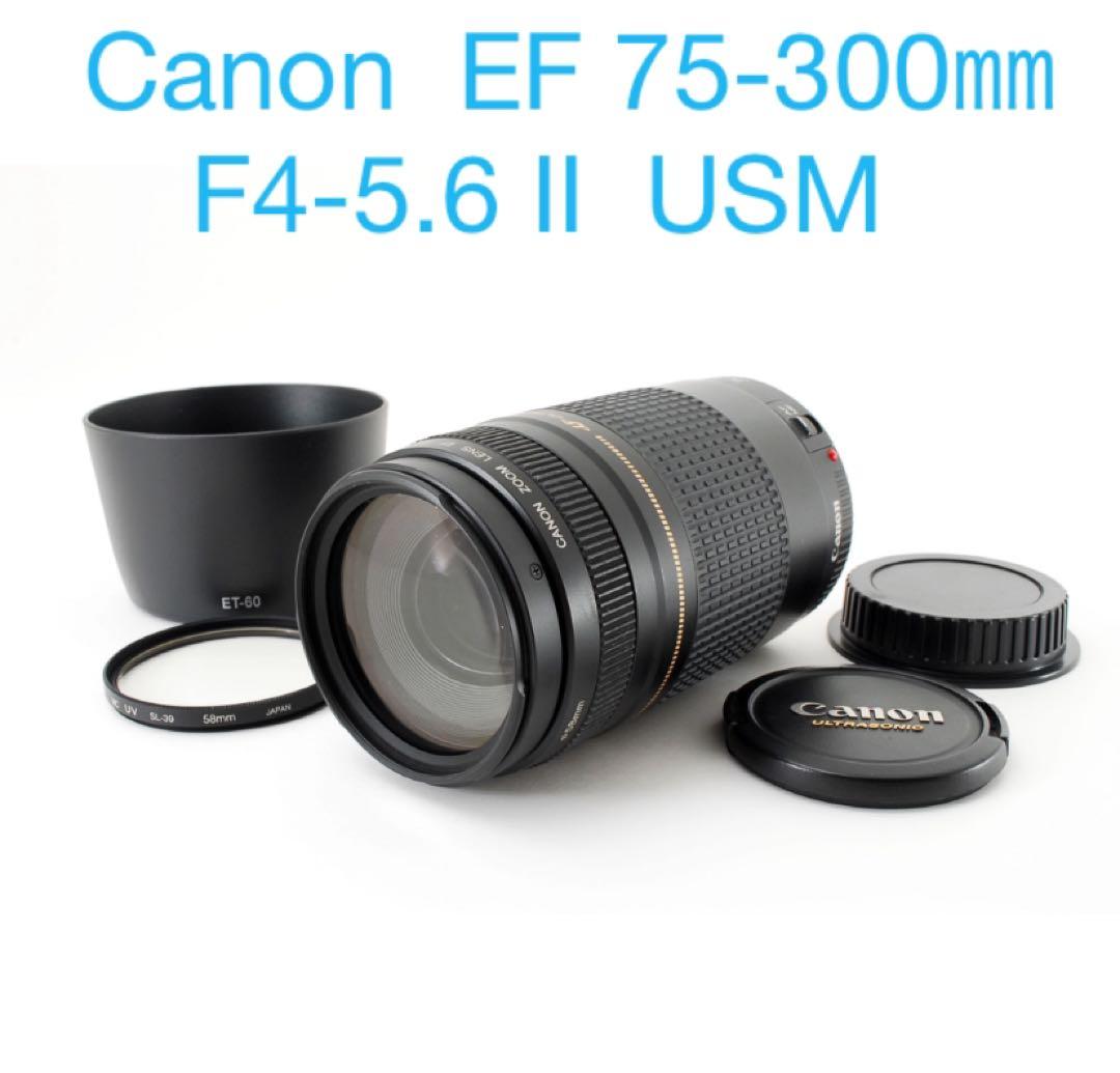 人気の望遠レンズ /フード付き/キヤノン/Canon EF75-300㎜