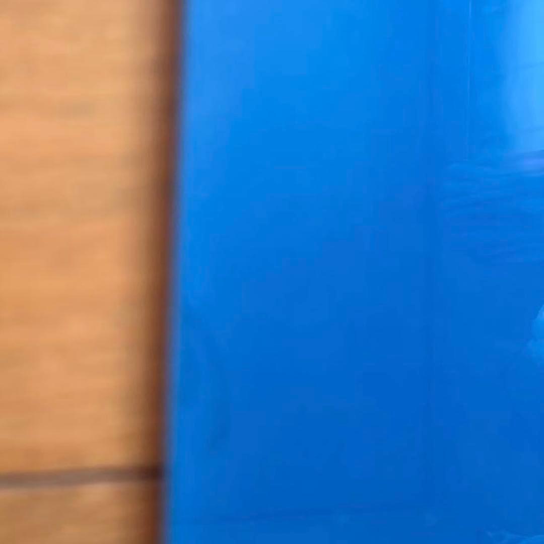 ディックブルーナ　水平さん　アクリル板　珍品