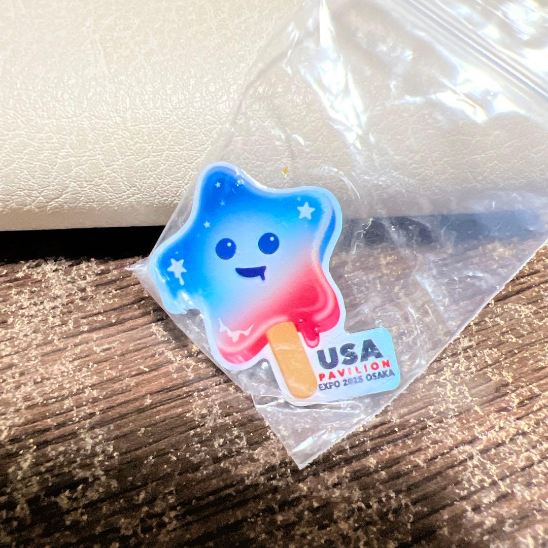USA PAVILION EXPO 2025 OSAKA ピンバッジ(非売品)