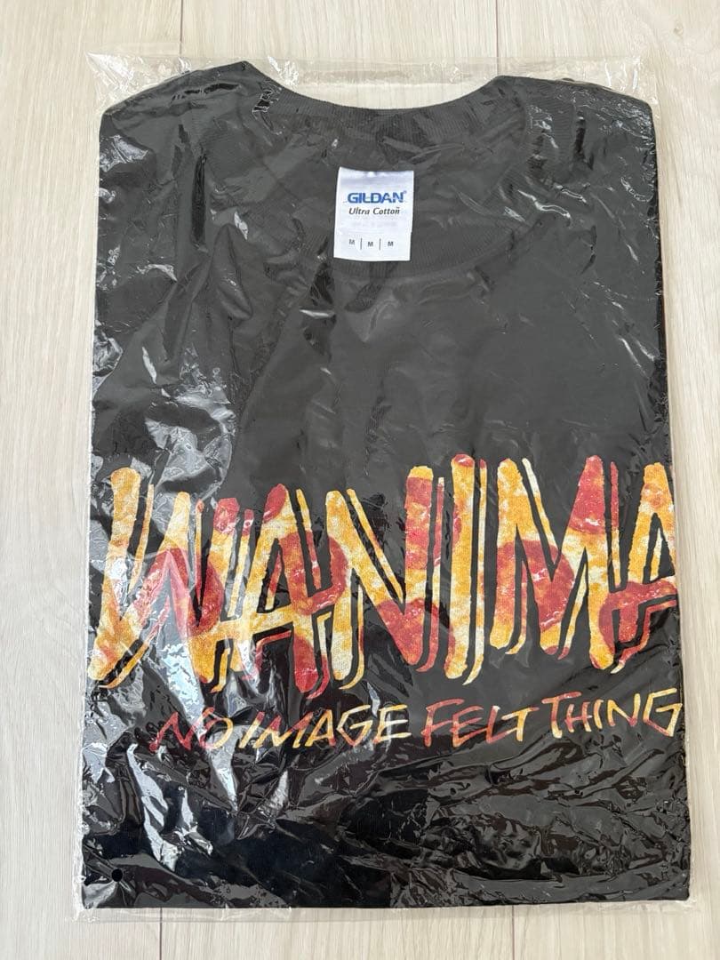 希少ピザ柄新品未使用WANIMA「NO IMAGE FELT THING」