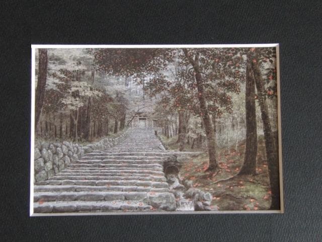 澁澤卿、【隠映落椿】、希少な額装用画集より、新品額装付、状態良好