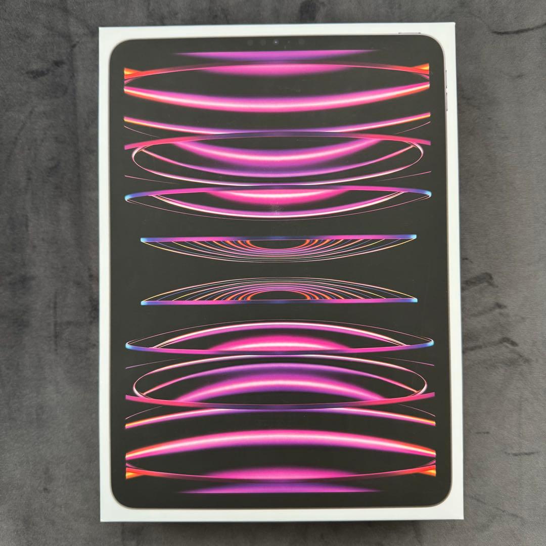 iPad Pro (11インチ) 第4世代 M1チップ　256GB シルバー