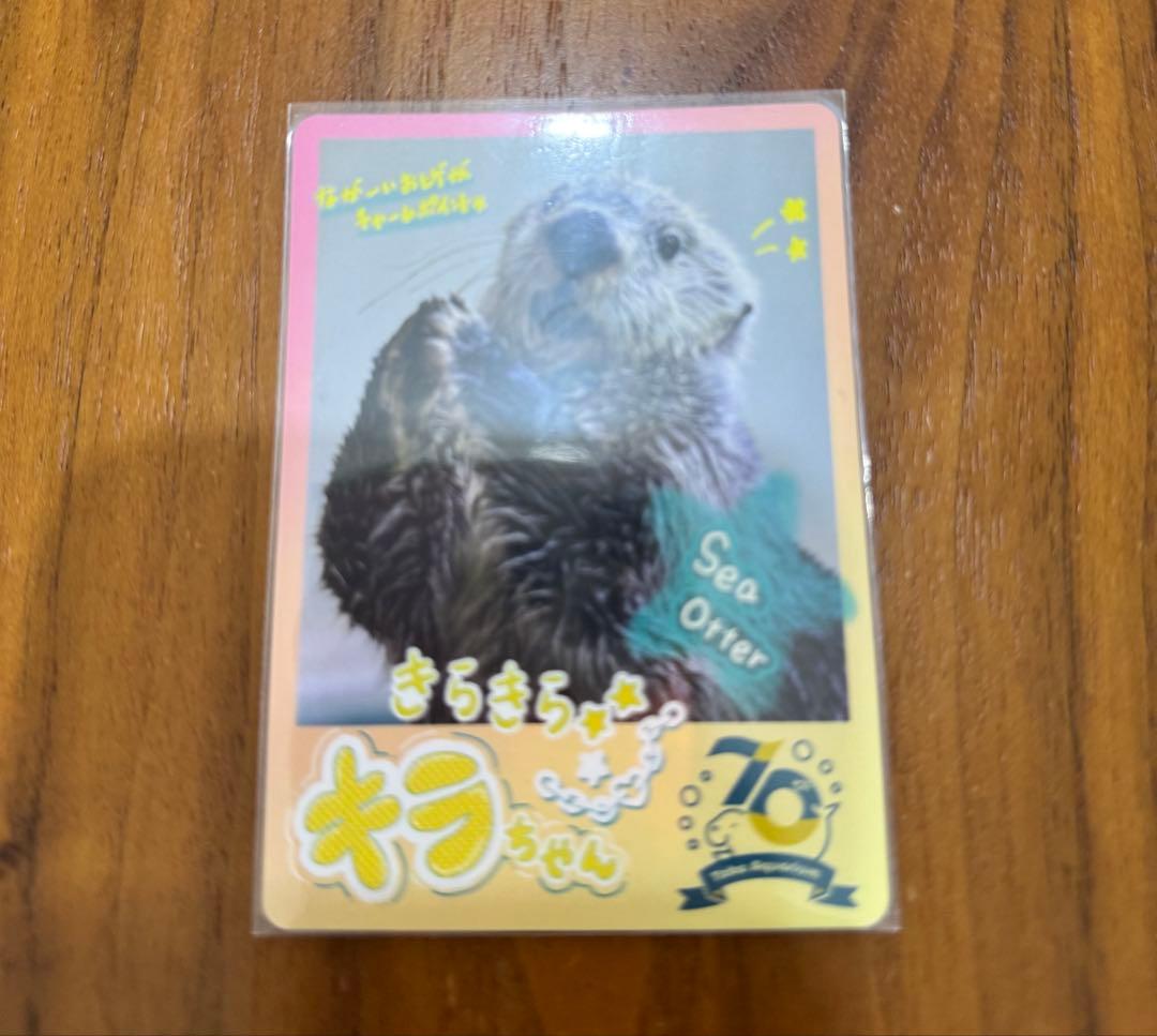 鳥羽水族館 70周年 コレクションカード　３枚セット　レア２枚含
