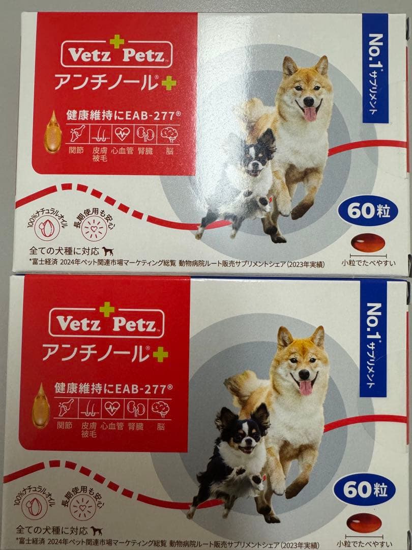 アンチノールプラス6粒×2