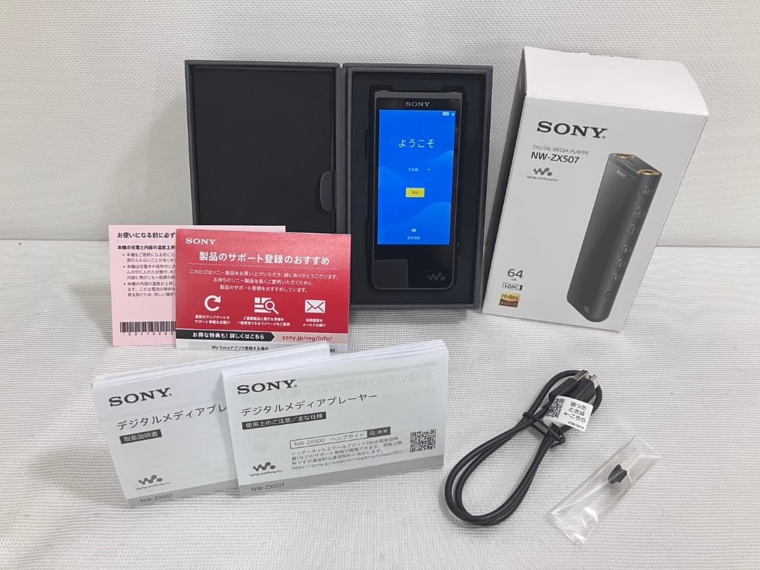 ソニー ウォークマン 64GB ZXシリーズハイレゾ対応 NW-ZX507 BM
