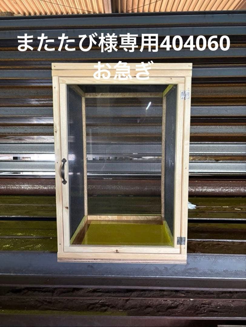 またたび　お急ぎ