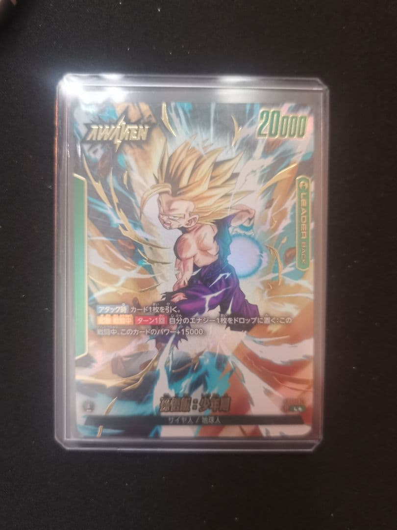 孫悟飯　リーダーパラレル