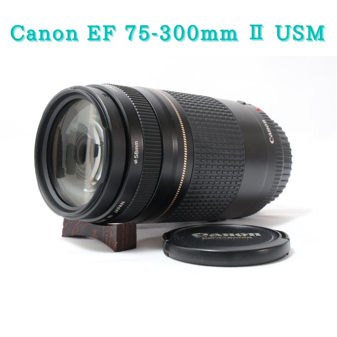 03kids mama Canon EF75-300mm Ⅱ USM 美品