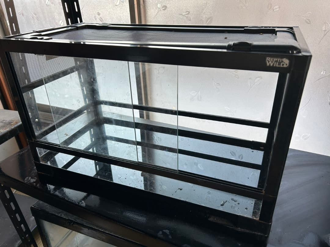 パンテオン　60×35