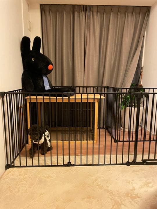 外枠のサークル、黒色の部分です、通常のサイズに別売りで購入したパーツ含むお値段