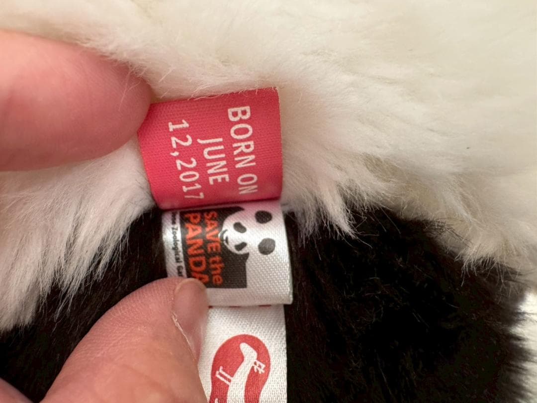 上野動物園　抱っこシャンシャン　パンダ　大型ぬいぐるみ　約63cm　ふわふわ