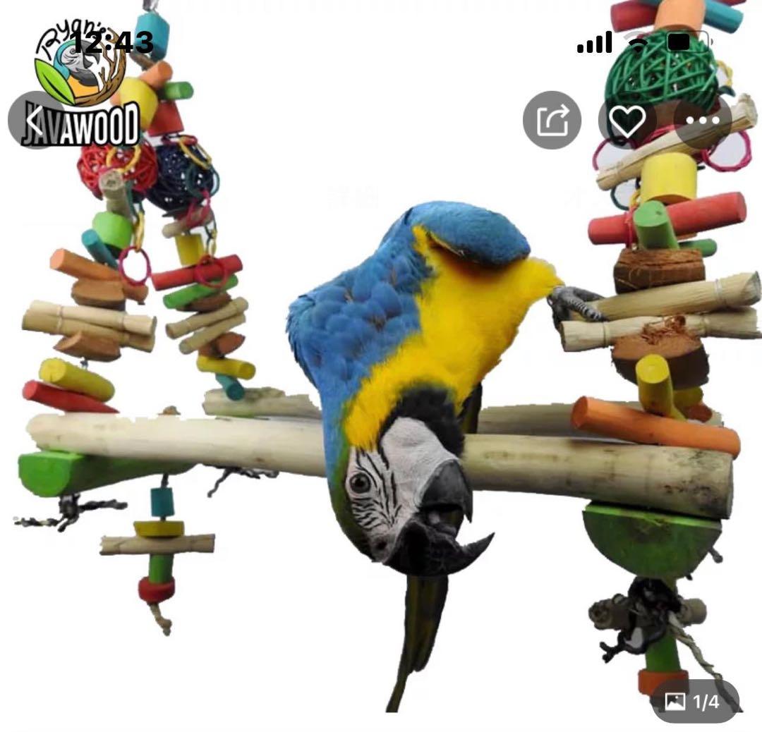 javaウッド　大型インコ、オウムバードトイ