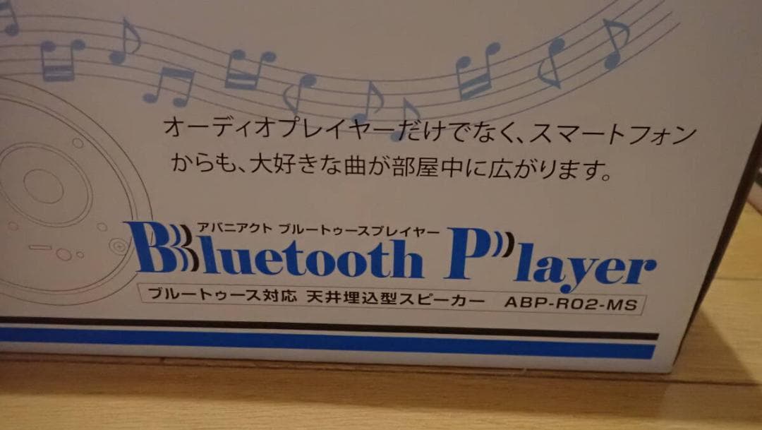 アバニアクト ABP-R02-MS 天井埋込型ブルートゥースプレイヤー他