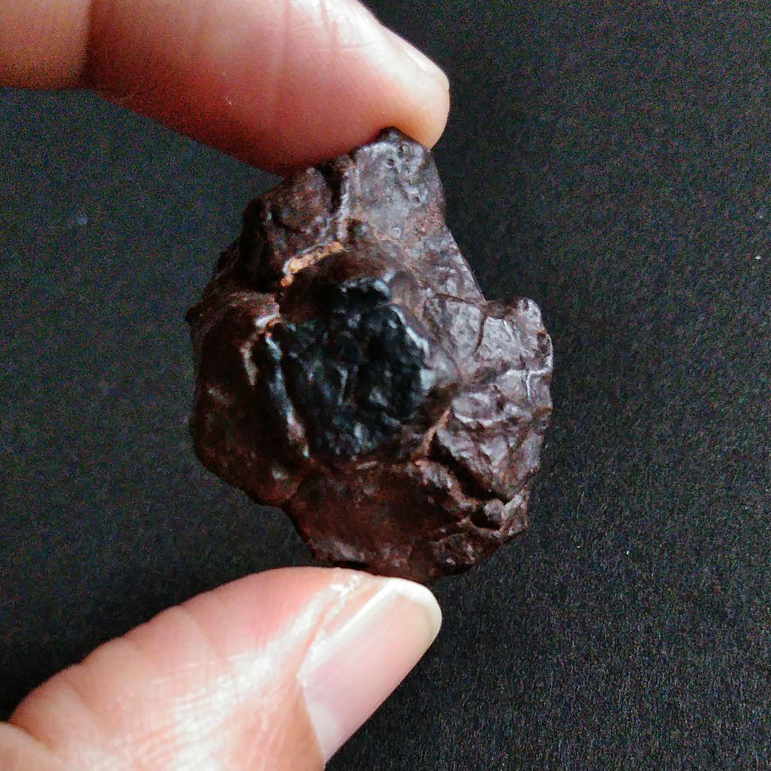 サハラ砂漠　隕石　コンドライト　30mm