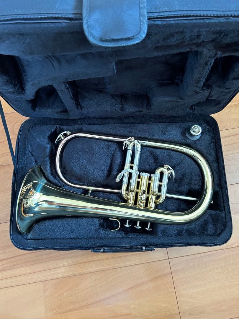 j.mickael FG-500 マウスピース ケース付属