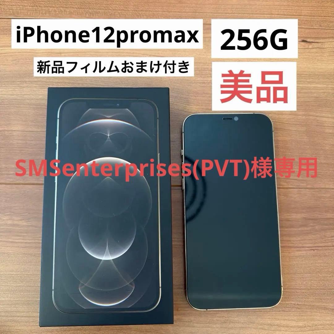 ⭐︎専用です⭐︎【美品】iPhone12Promax256GB ゴールド