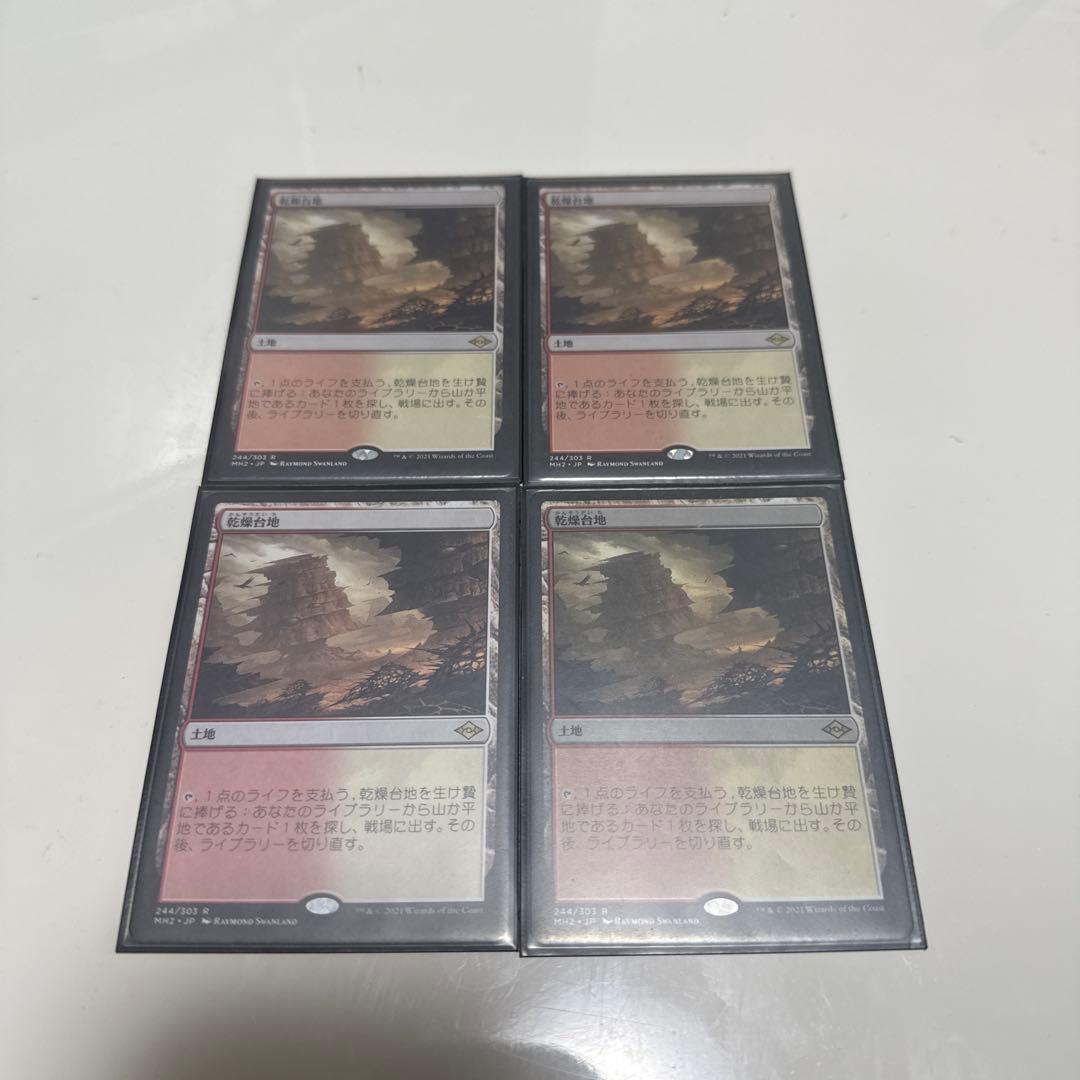 乾燥大地　4枚セット