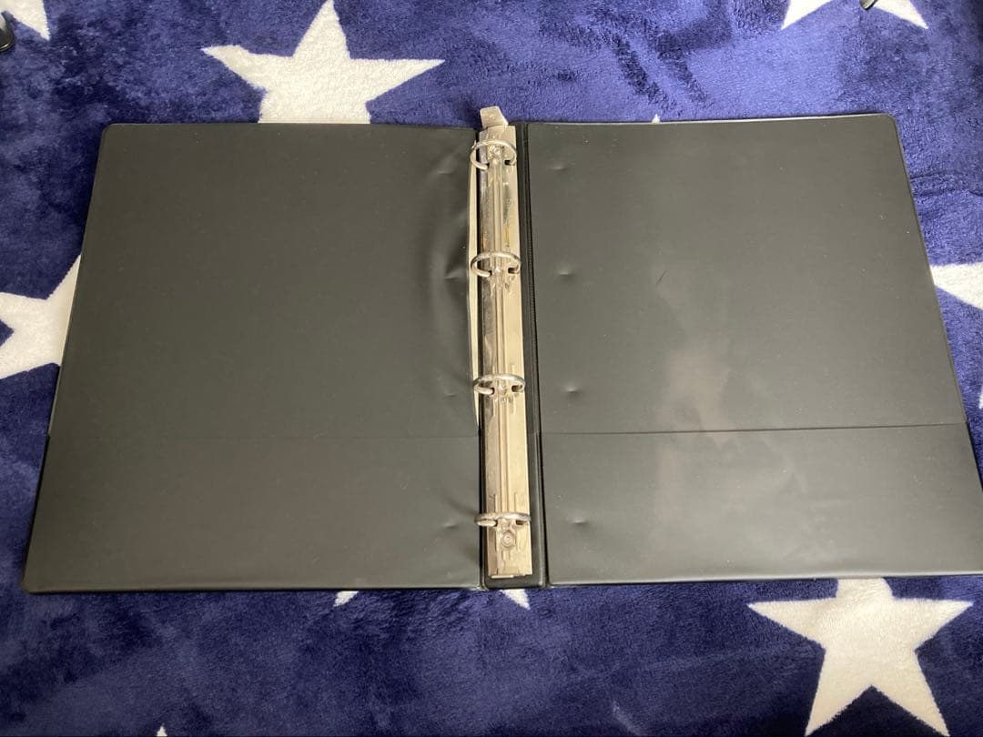 値下げあり MTG ぎゃざガール バインダー 秋