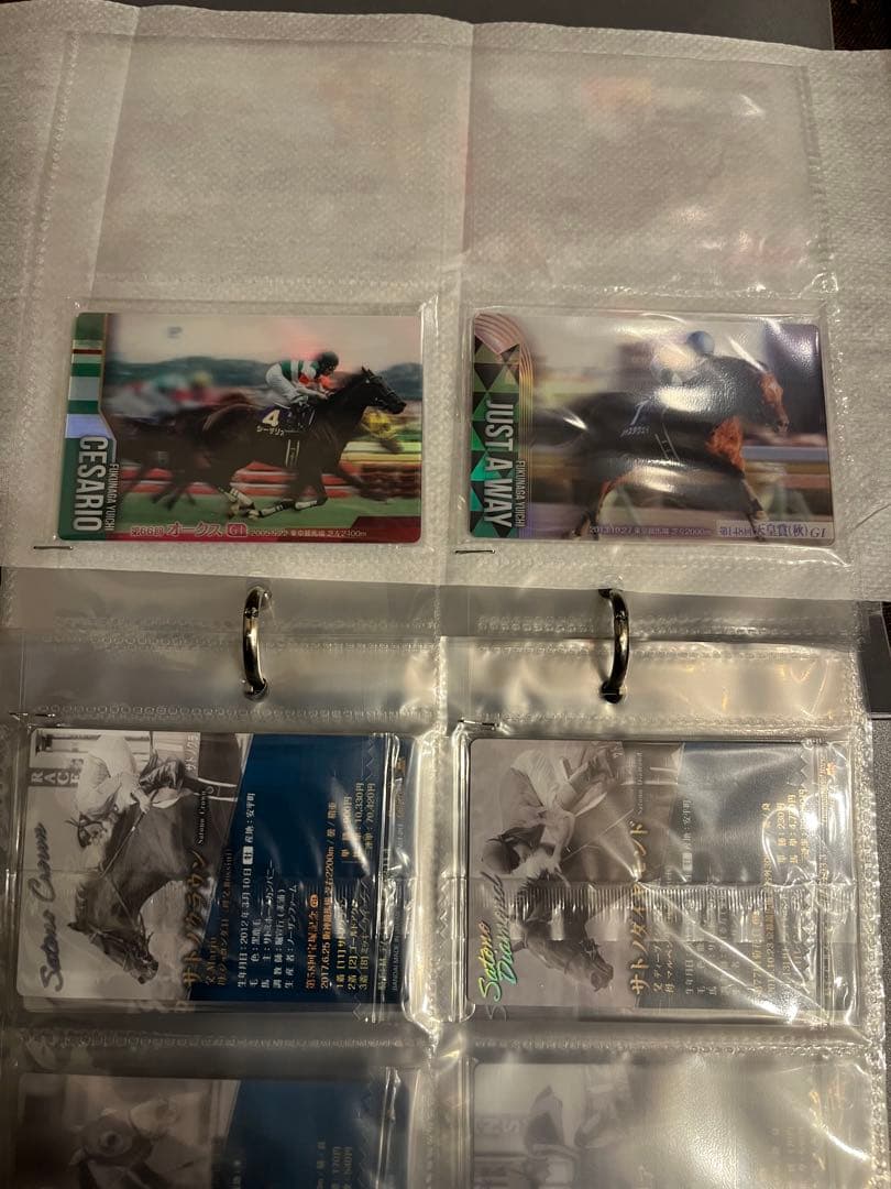 サラブレッドホースコレクション ノーマルカードコンプ。 サイン16/30枚コンプ