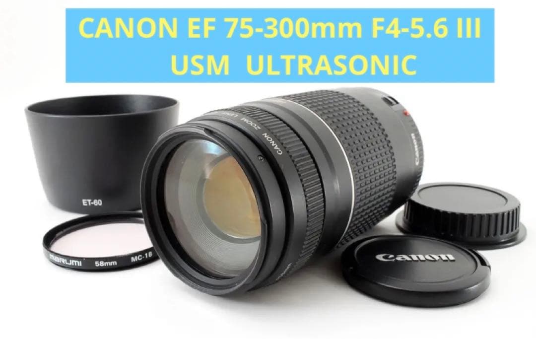 人気/スポーツ/大迫力300㎜/望遠レンズ/Canon EF75-300㎜USM